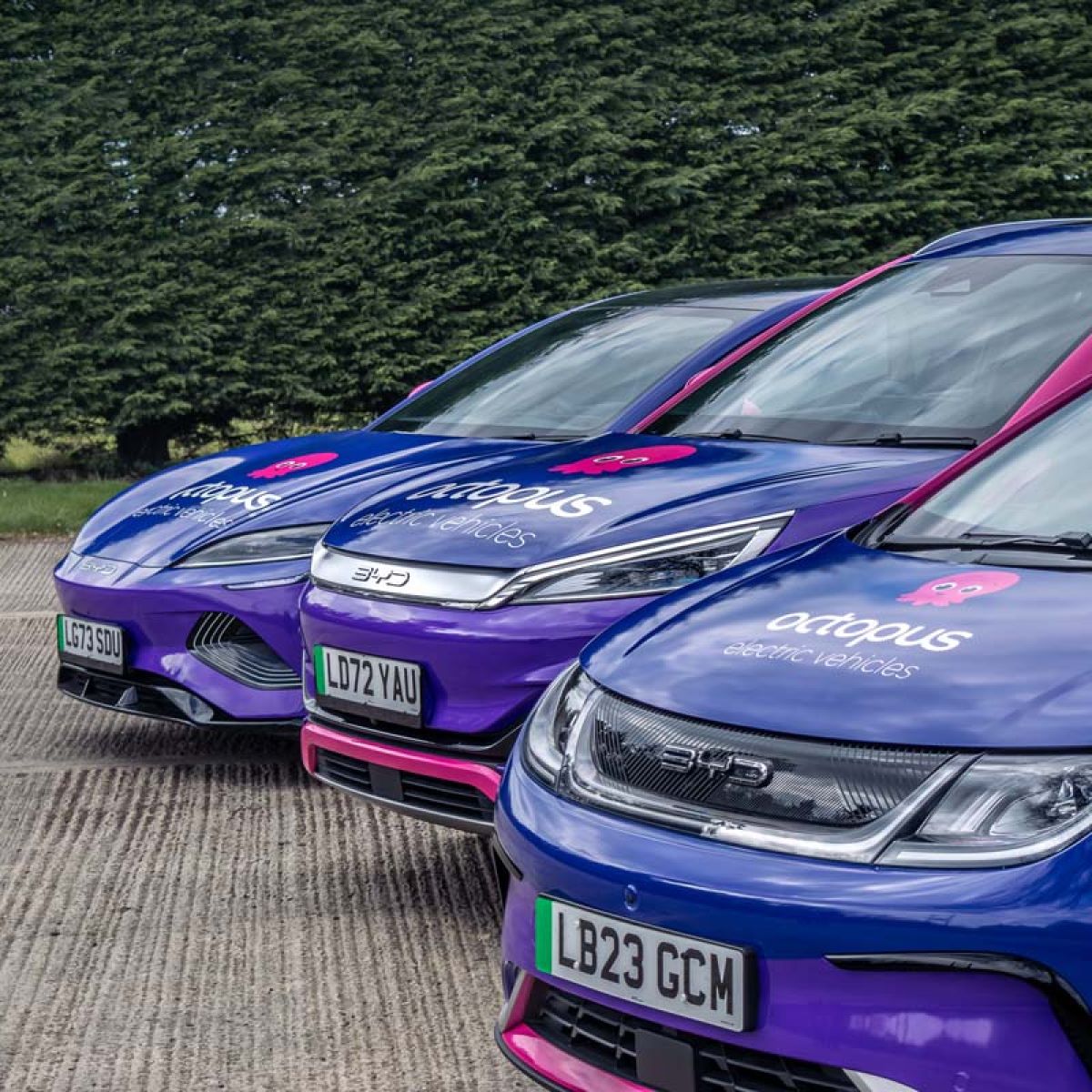 Three Octopus Electric Vehicles branded BYD electric cars parked side by side.