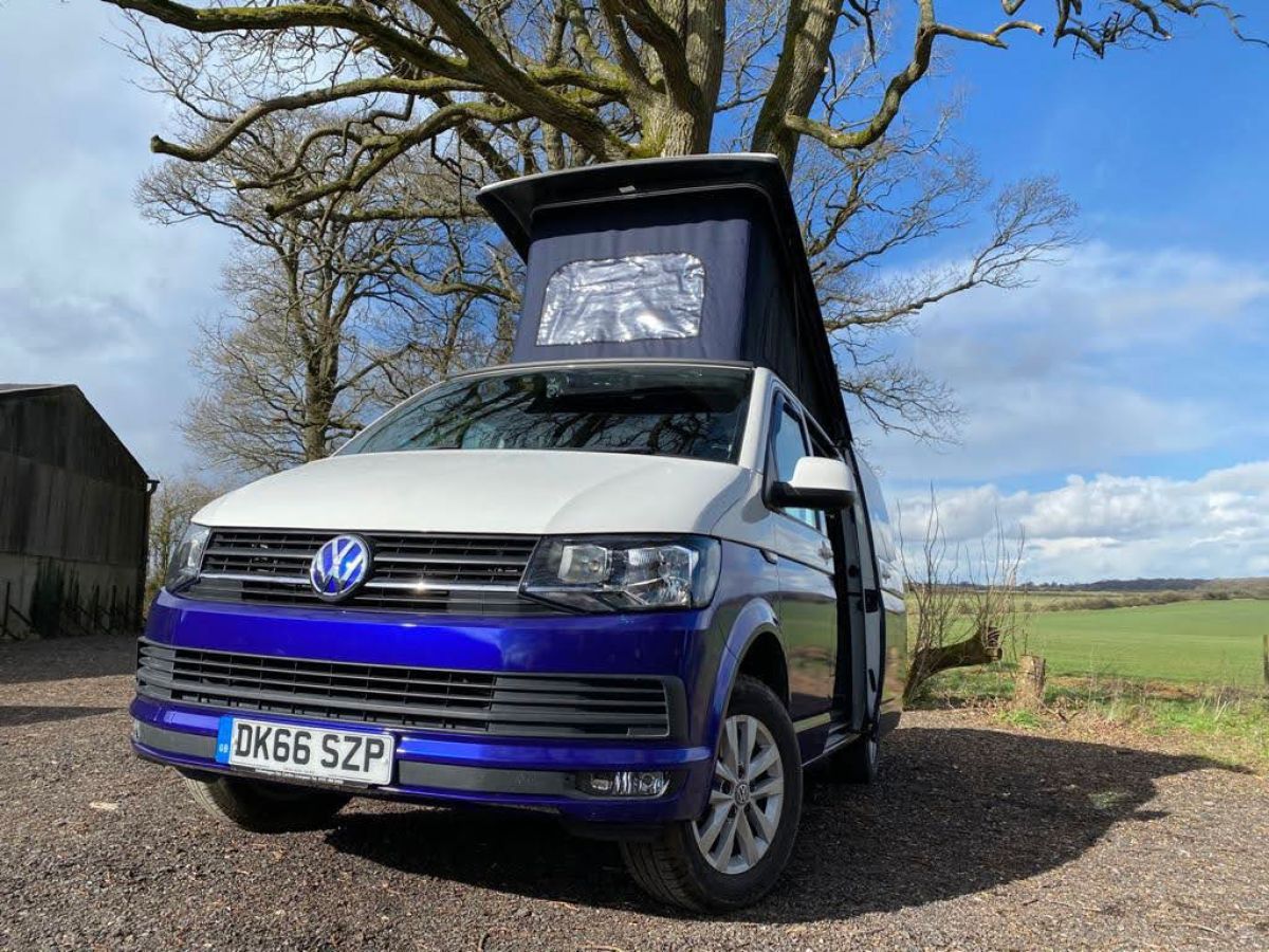 VW T6 Blue and White